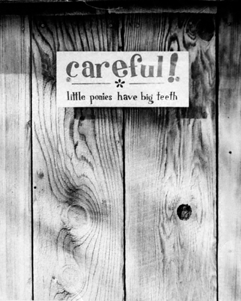 Little ponies have big teeth