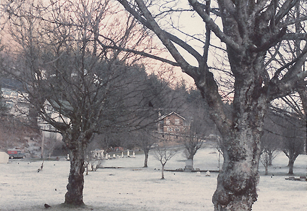 Winter graveyard, Juneau