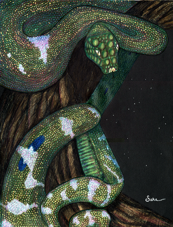 Rainbow Serpent by Sara