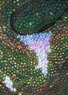 To "Rainbow Serpent" details and enlarged views.